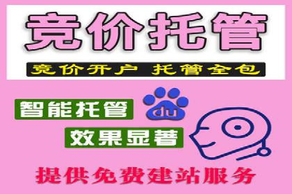 某SEM外包公司广告投放策略及效果评估